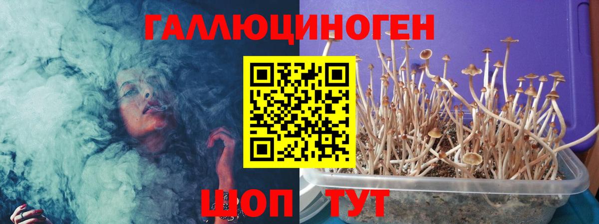 Амурск  Псилоцибиновые грибы мухоморы  Псилоцибиновые грибы мицелий  Вход с VPN 