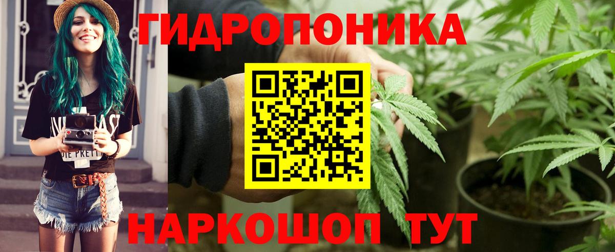 Марихуана семена  Бошки Шишки сатива  Конопля AK-47  Амурск  Вход с VPN  Канабис гибрид 